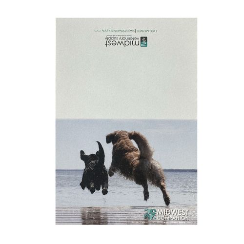Companion Animal Notecards (35ct) image thumbnail