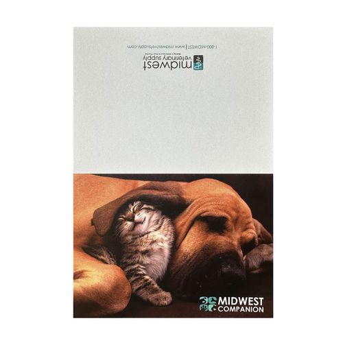 Companion Animal Notecards (35ct) image thumbnail