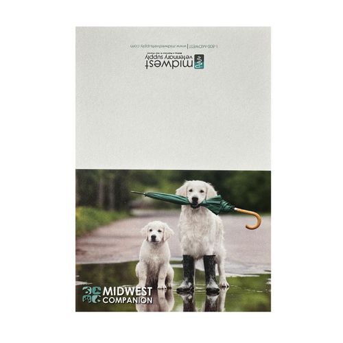 Companion Animal Notecards (35ct) image thumbnail