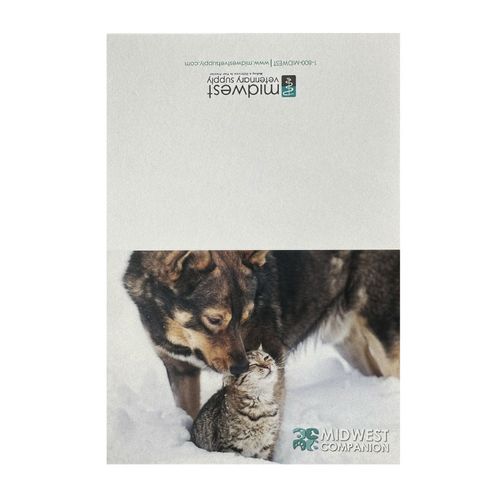 Companion Animal Notecards (35ct) image thumbnail