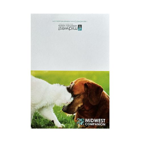 Companion Animal Notecards (35ct) image thumbnail