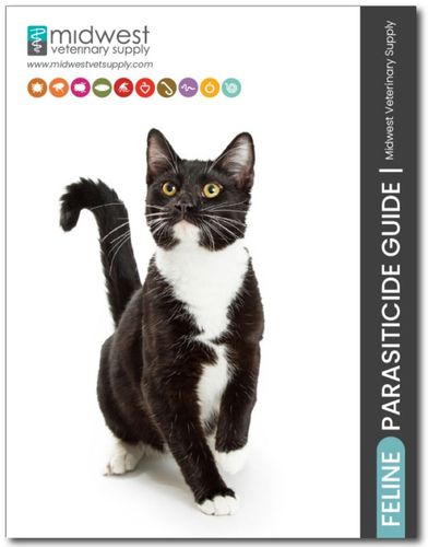 2025 Parasiticide Guide (Canine & Feline) image thumbnail