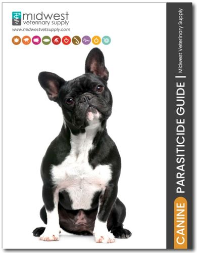 2025 Parasiticide Guide (Canine & Feline) image thumbnail