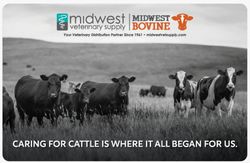 Image of Bovine About Us Card