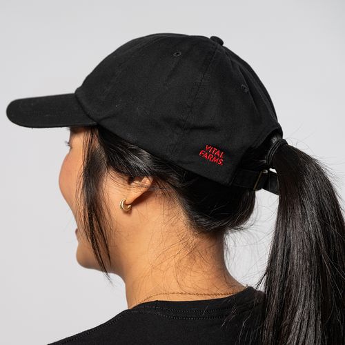 Put An Egg On It Dad Hat image thumbnail