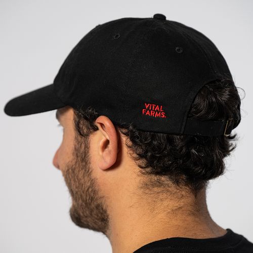 Put An Egg On It Dad Hat image thumbnail