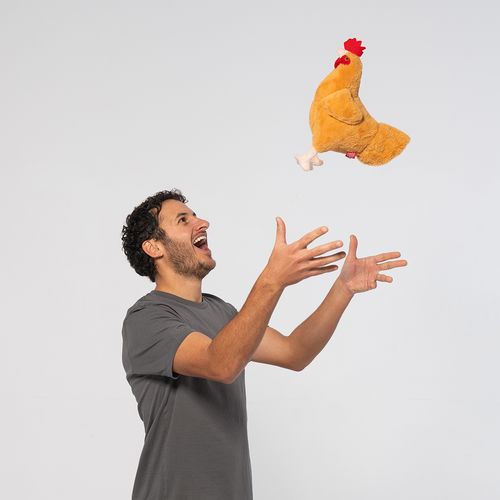 Plush Hen Friend image thumbnail