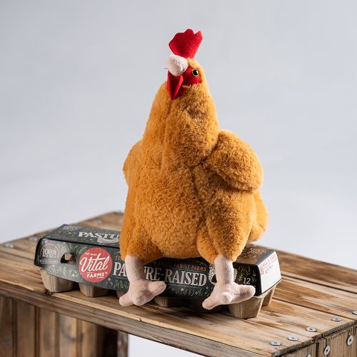 Plush Hen Friend image thumbnail