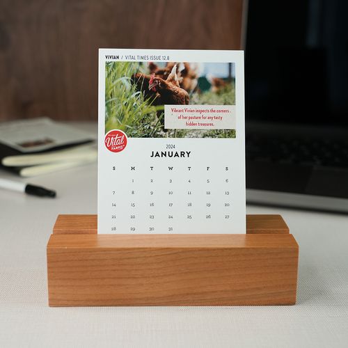 Image of Vital Times Bird of the Month Desk Calendar