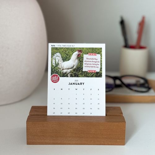 Image of Vital Times Bird of the Month Desk Calendar