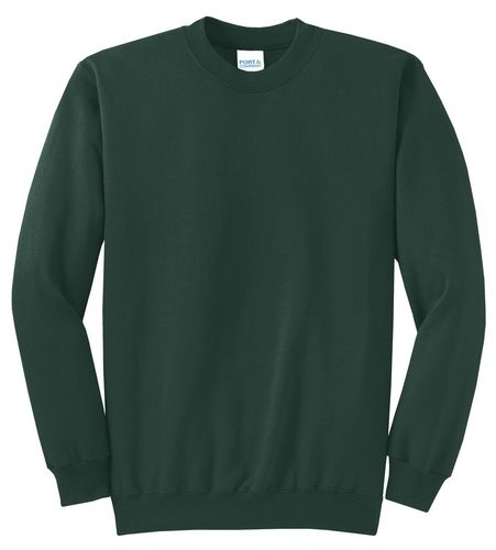 Port & Company - Core Fleece Crewneck Sweatshirt image thumbnail