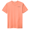 SOFT CORAL