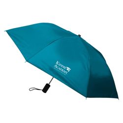 Image of Economy Auto Open Umbrella (KA-F737)