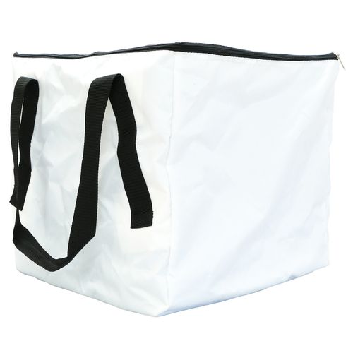 Plastic Water Base for Canopy Tent (KA-CAS-SQR) image thumbnail
