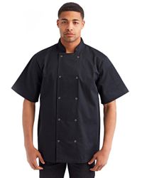 Image of Reprime Chef Short Sleeve Coat - RP664