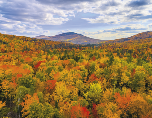 Good Value™ Landscapes of America - Spiral Calendar 7001 Copy (2) image thumbnail