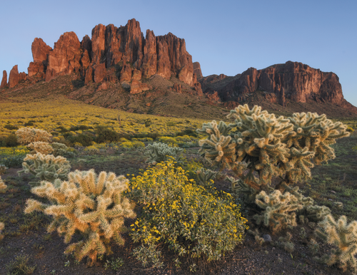 Good Value™ Landscapes of America - Spiral Calendar 7001 Copy (2) image thumbnail