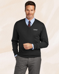 Image of Brooks Brothers ® Washable Merino V-Neck Sweater