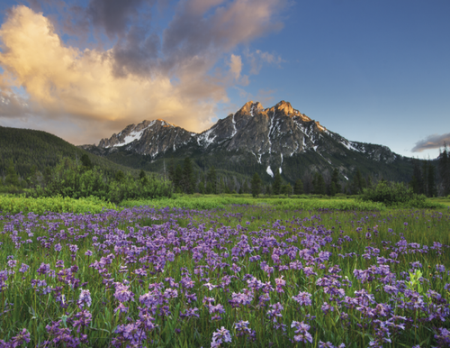 Good Value™ Landscapes of America - Spiral Calendar 7001 Copy (2) image thumbnail