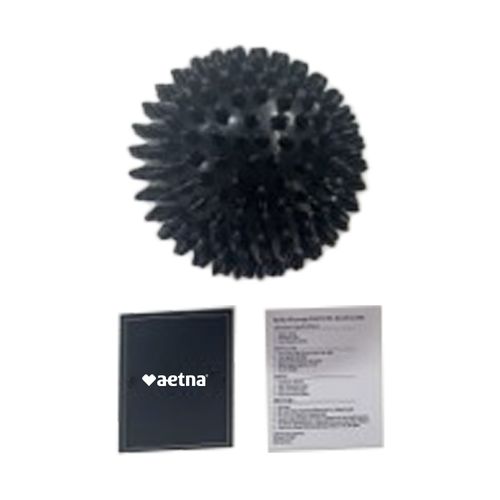 Aetna Acupuncture Q2 2026 Kit Bundle image thumbnail