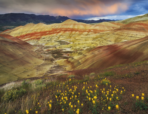 Good Value™ Landscapes of America - Spiral Calendar 7001 Copy (2) image thumbnail