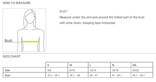 Nike Ladies Dri-FIT Micro Pique 2.0 Polo - Grey image thumbnail