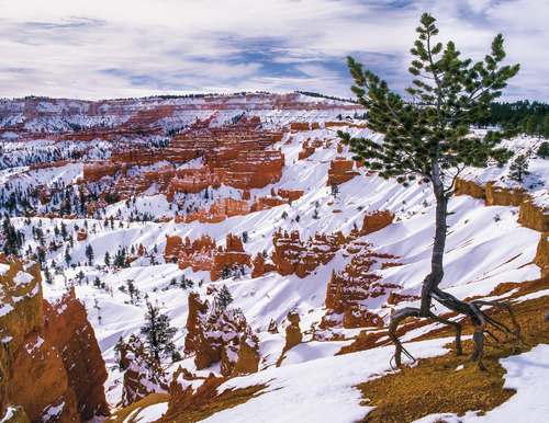 Good Value™ Landscapes of America - Spiral Calendar 7001 Copy (2) image thumbnail