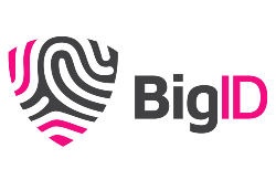 BigID logo