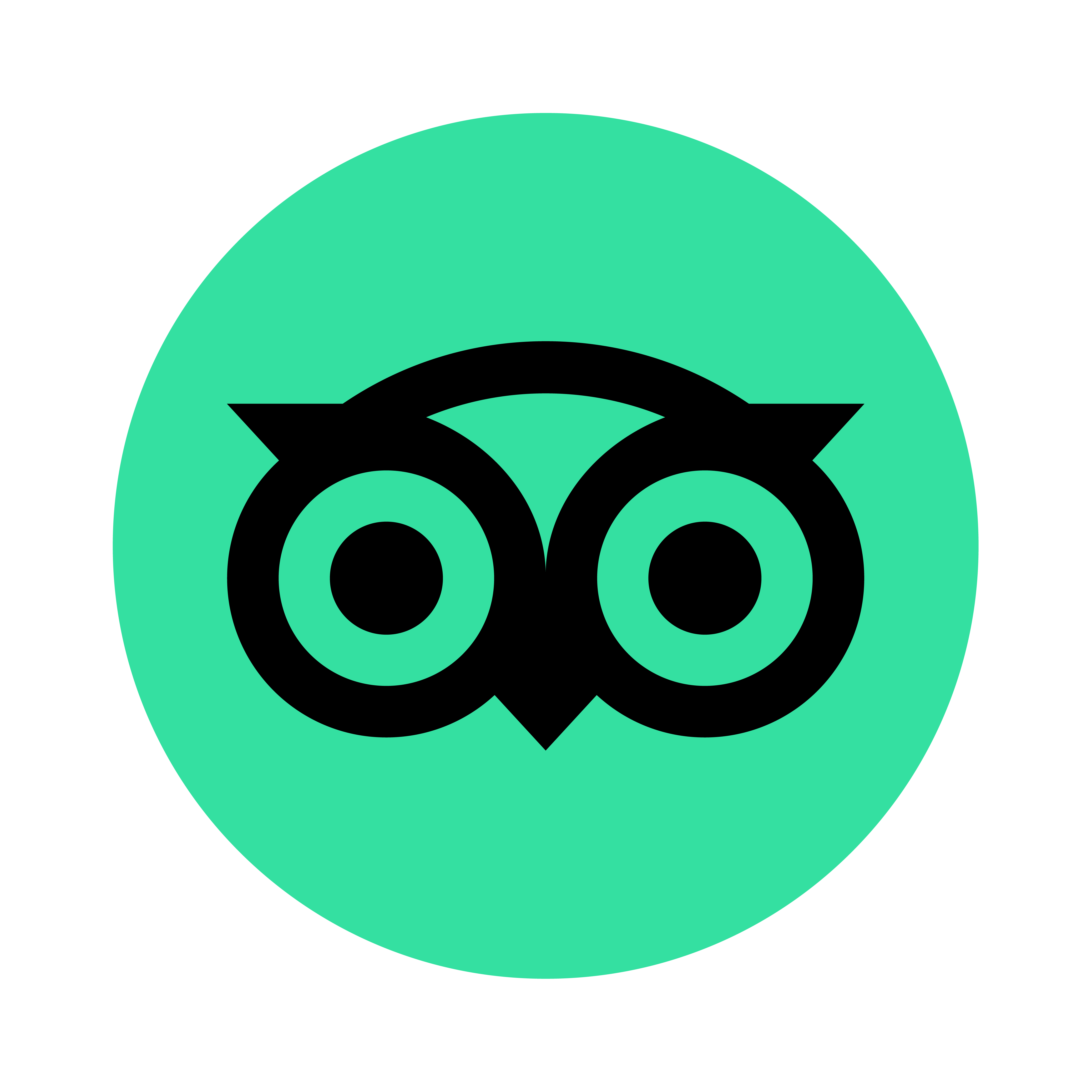 Tripadvisor Swag footer logo