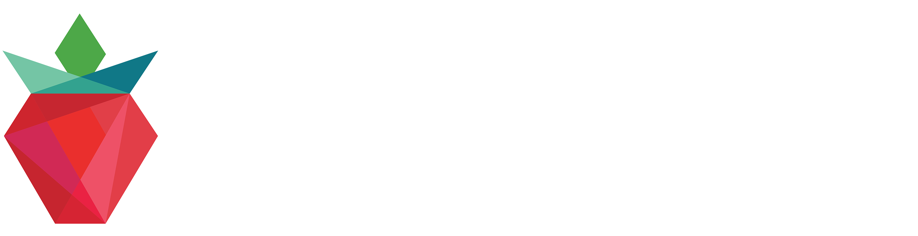 Athena Demo footer logo