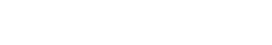 Life Fitness footer logo