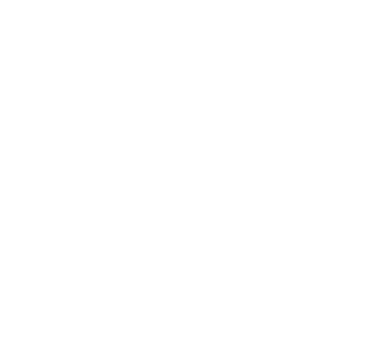 Purple Wave Swag Store footer logo