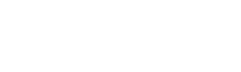 DeepSeas Company Store footer logo