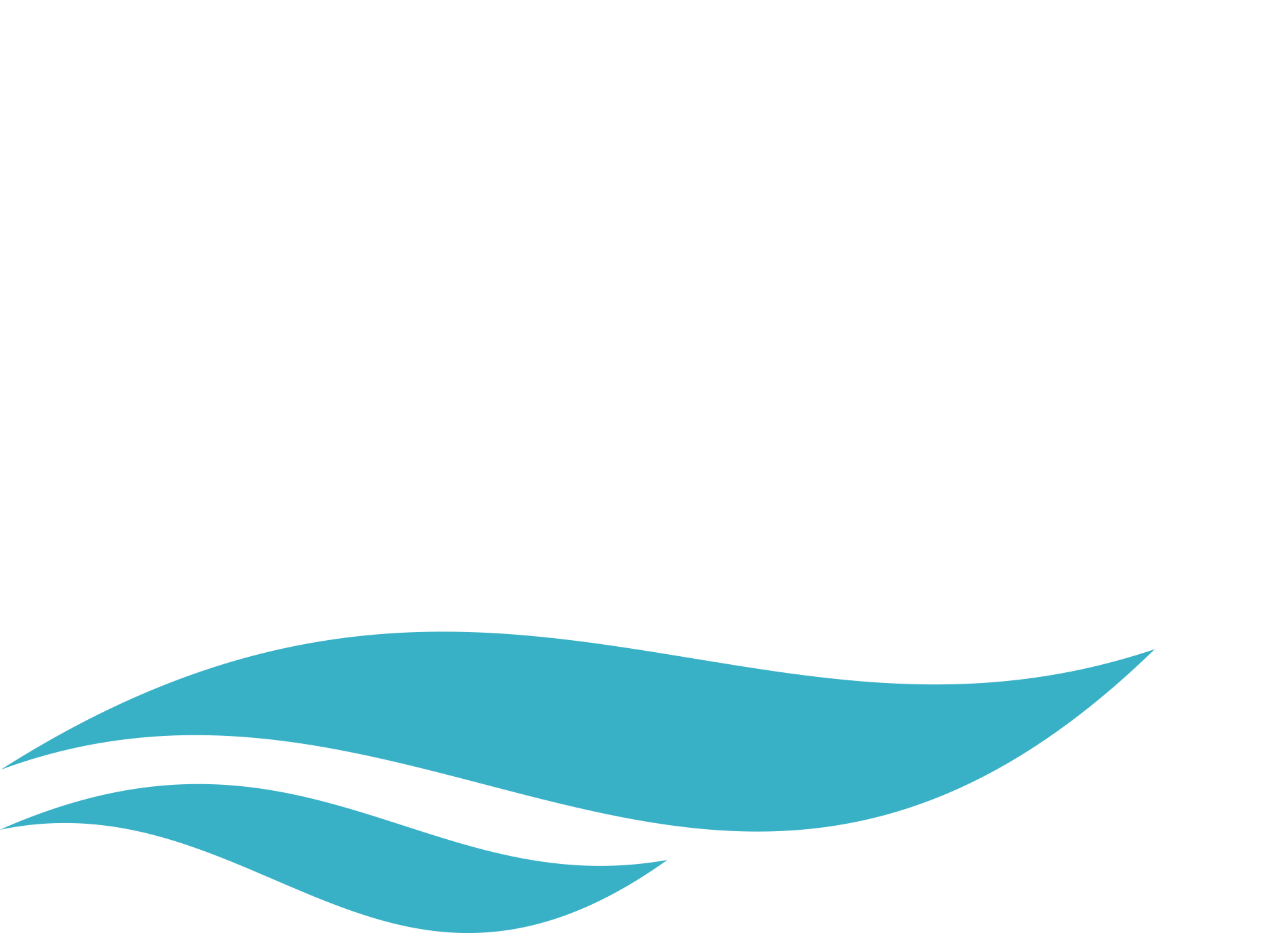 SSI Store footer logo