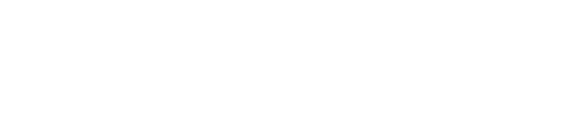 Danforth Store footer logo