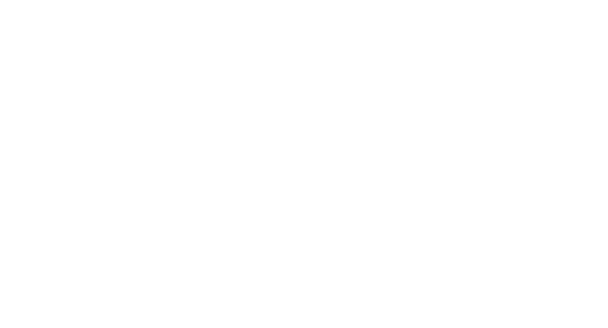 LB White e-Store footer logo
