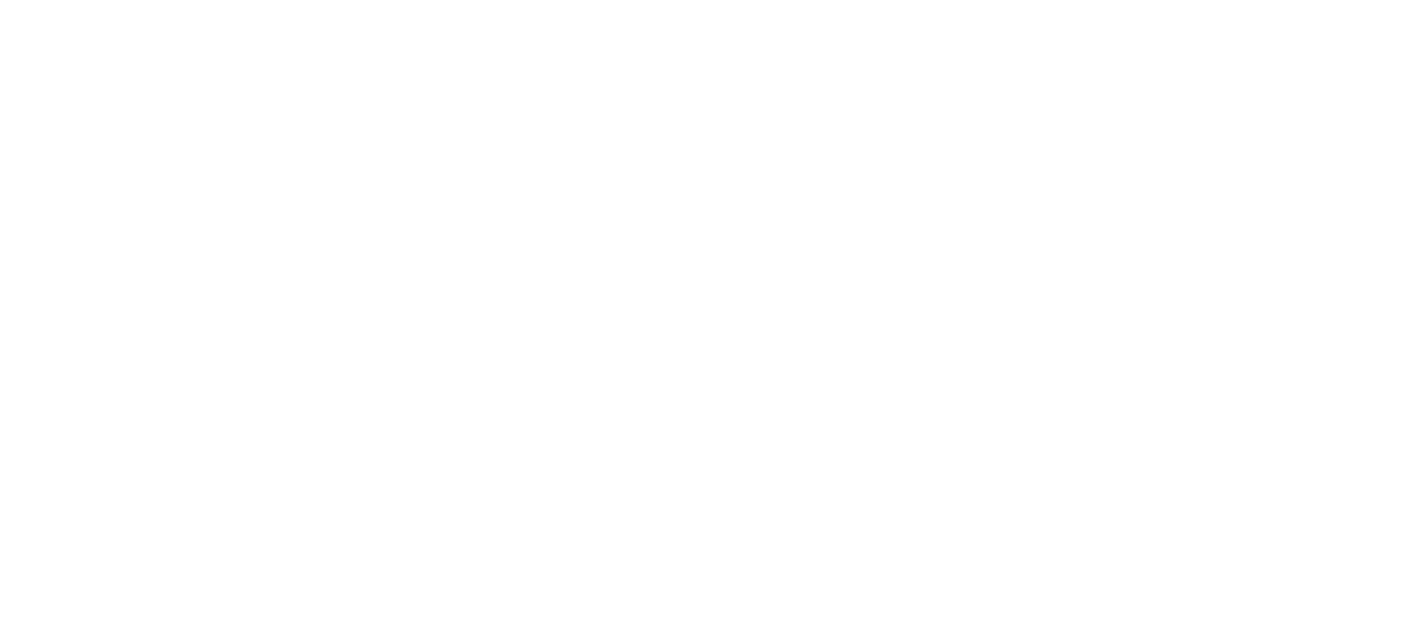 LB White e-Store logo