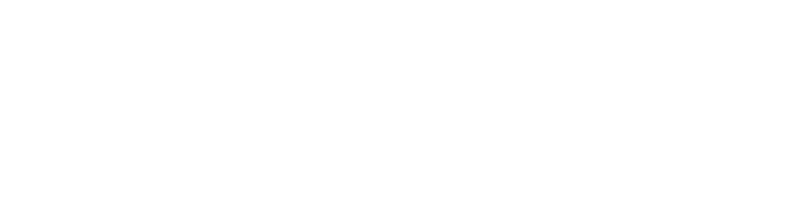 Enovis Merchandise footer logo