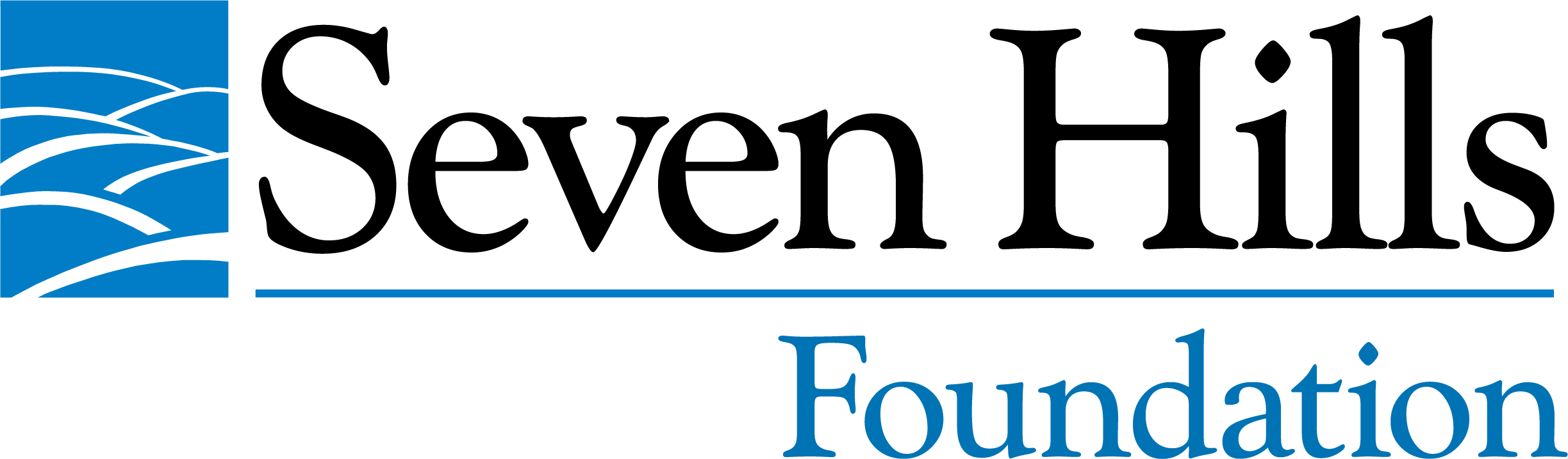 SHF Store logo