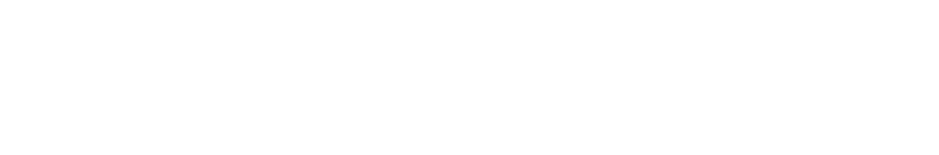 Michels Swag footer logo