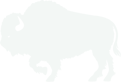 Buffalo Construction logo