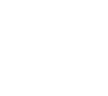 WorldVia.shop footer logo
