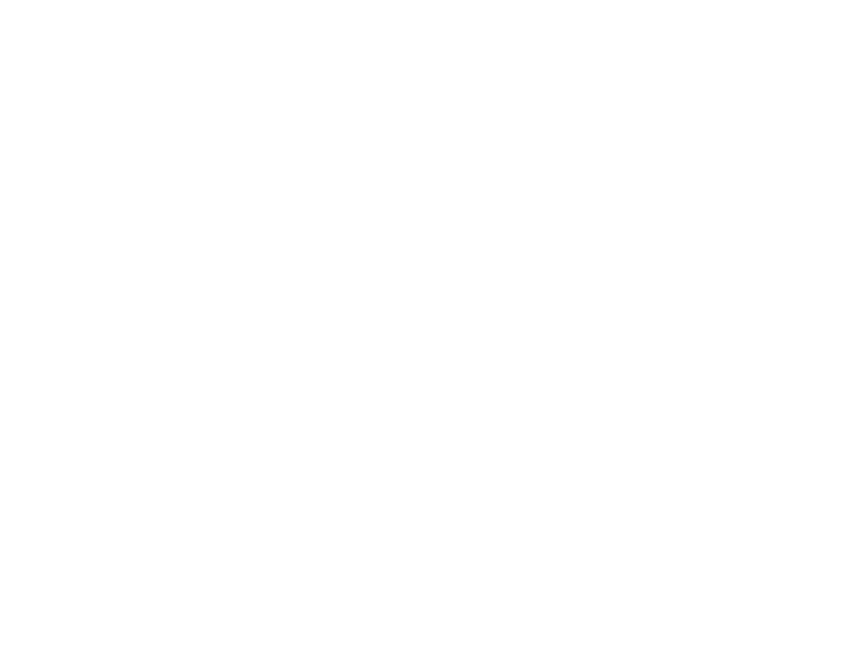 Y Store footer logo