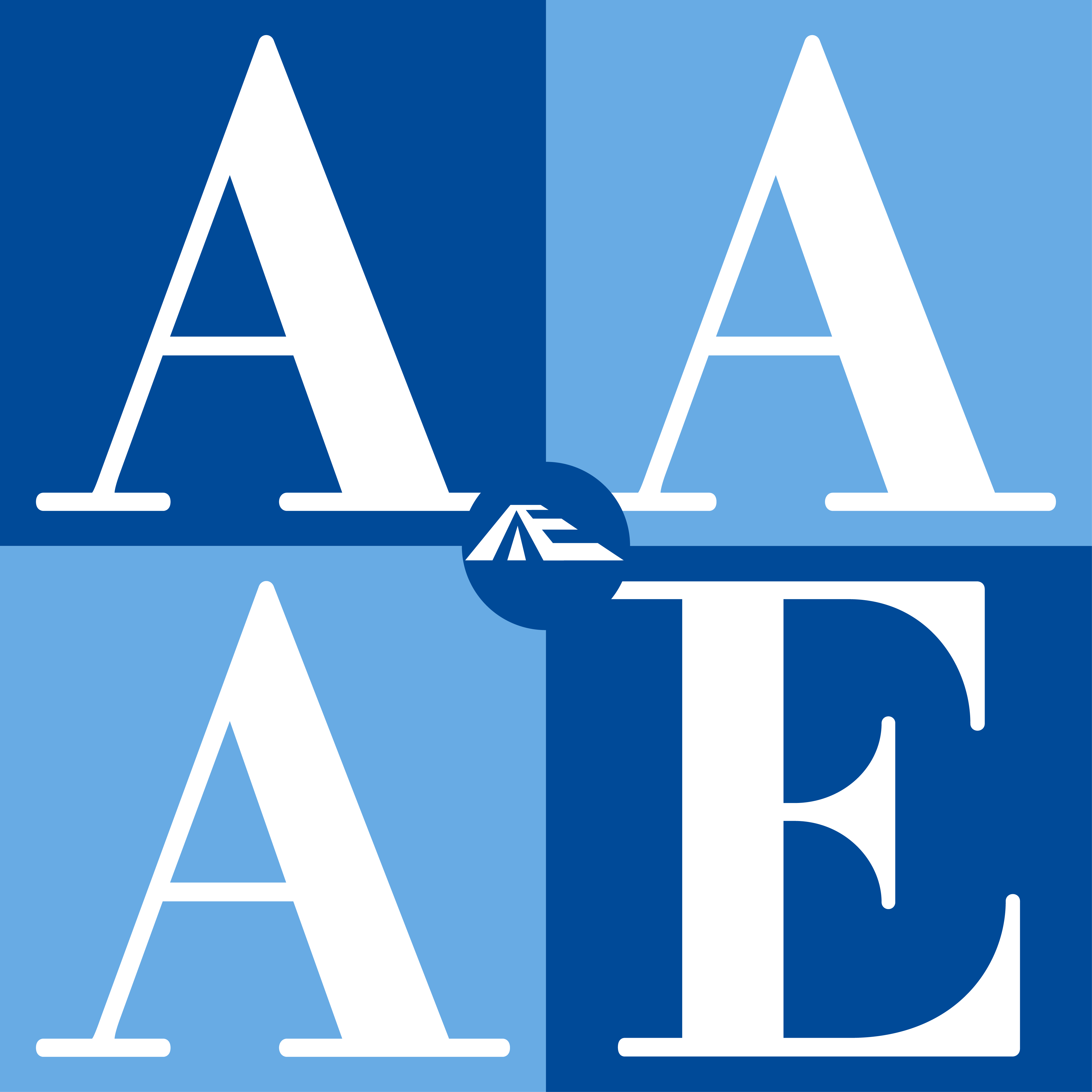 AAAE Store logo