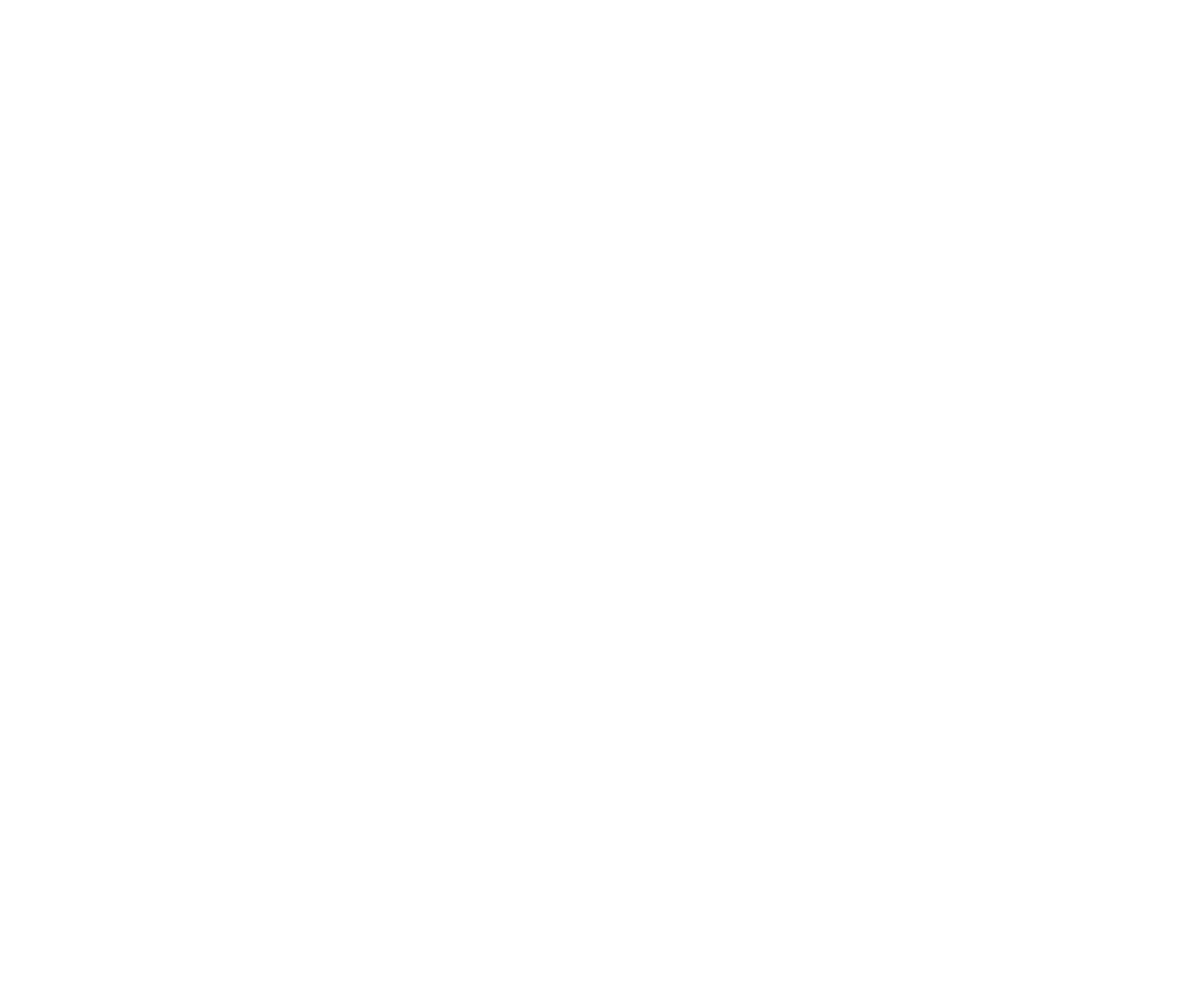 NES Power Gear footer logo