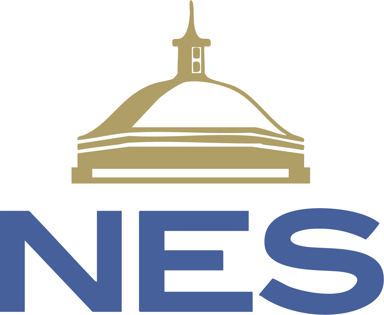 NES Power Gear logo