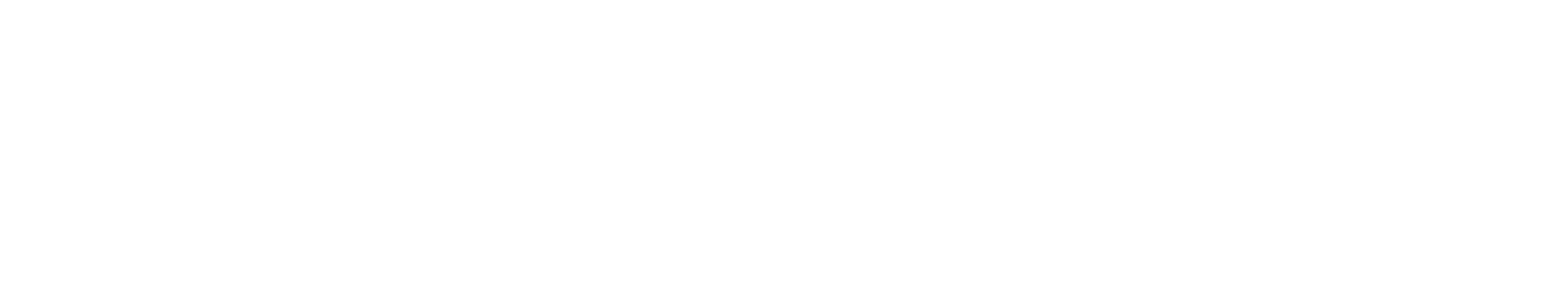 Duck Donuts footer logo