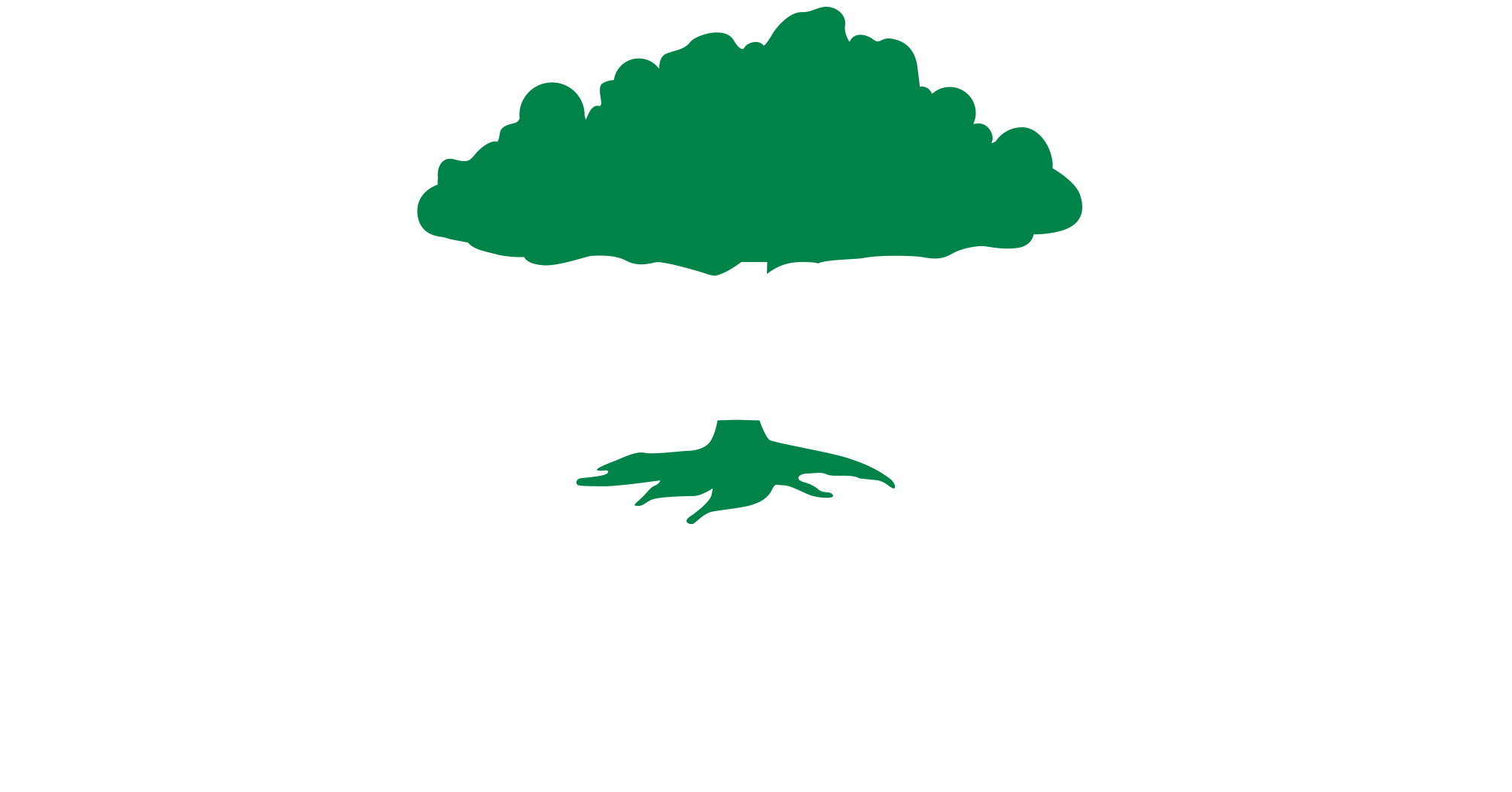 Davey Tree Logo Store footer logo