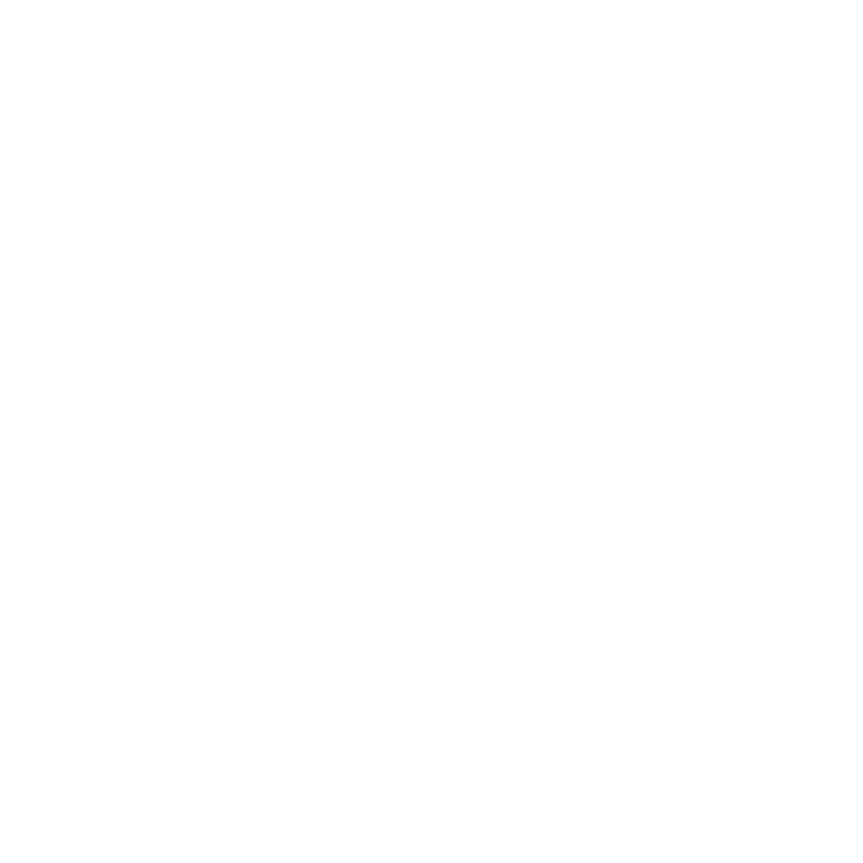 Texit Coin Store footer logo