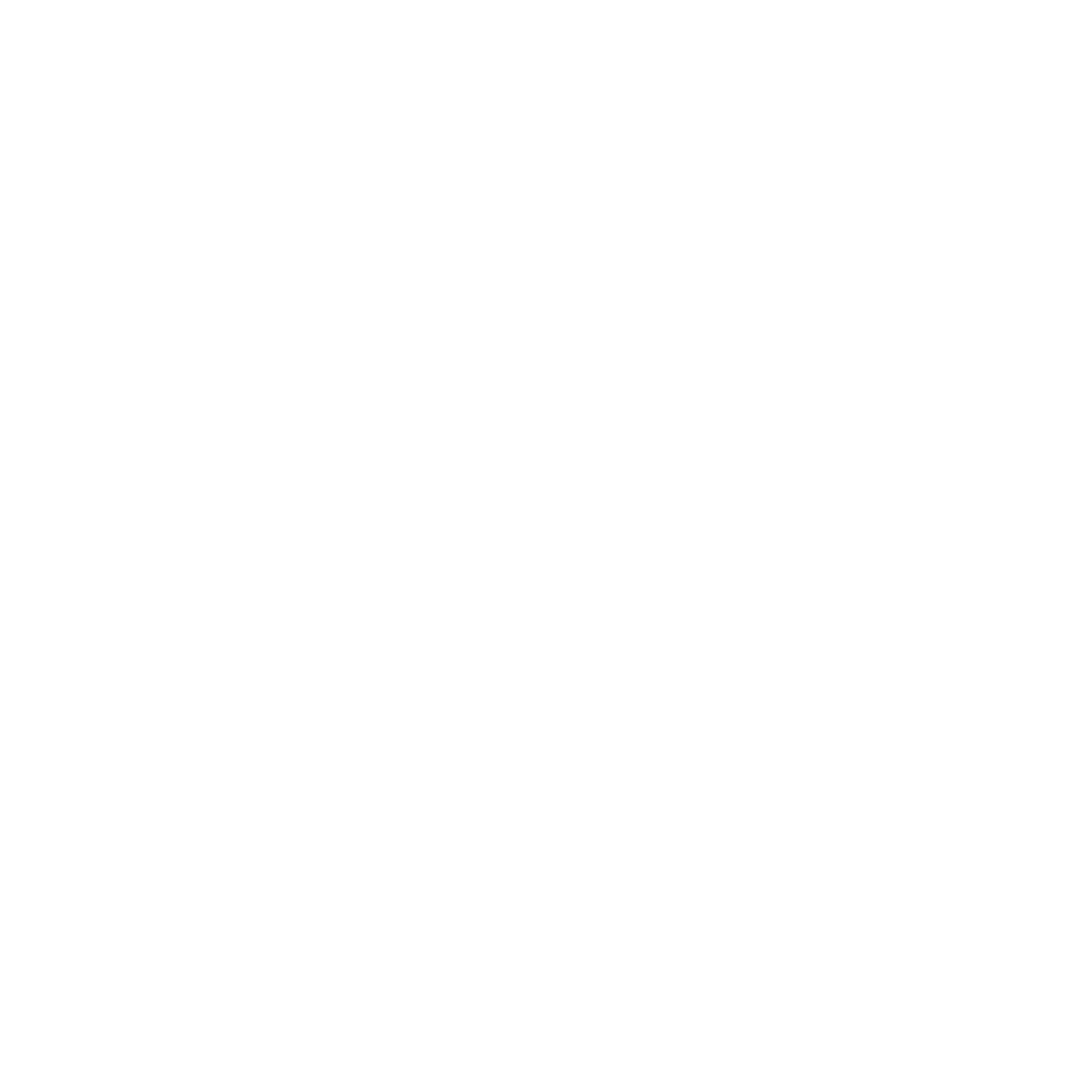 Feyen Zylstra footer logo